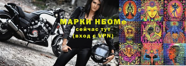 гидра Новодвинск