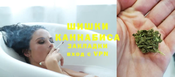 гидра Новодвинск