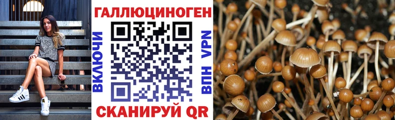 Галлюциногенные грибы Psilocybine cubensis  даркнет сайт  Суоярви 